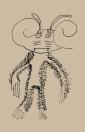 [Maelis-Monstre1-Etape_1.jpg]